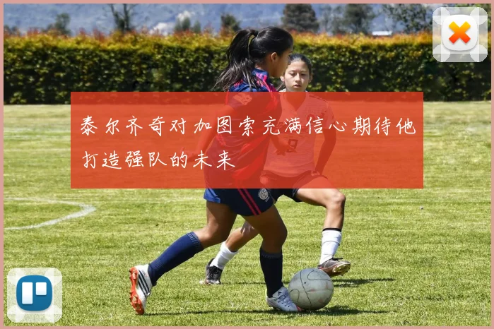 泰尔齐奇对加图索充满信心期待他打造强队的未来